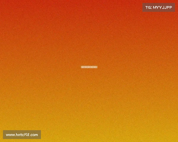 西班牙瑞士赛事分析论文